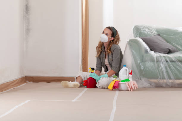 Reliable Mold Remediation contractor in Riverview, MI by Car Mold Remediation